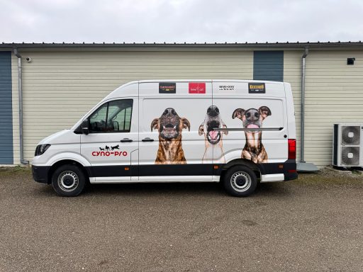 Véhicule utilitaire blanc avec des illustrations de chiens sur le côté.